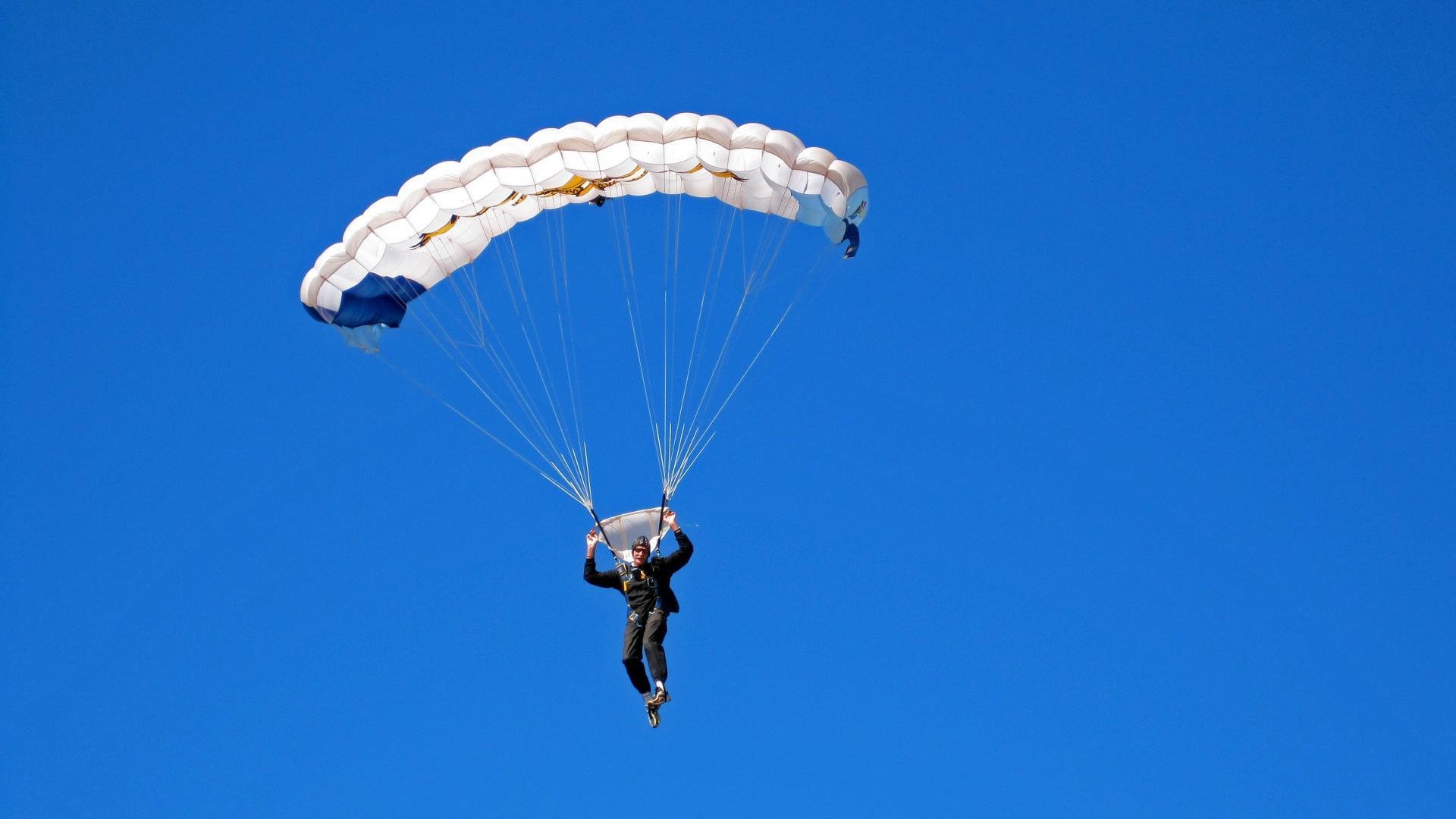 布伦森完美风暴，当黄蜂的刺遇上猛龙的爪，他成了唯一的破局者